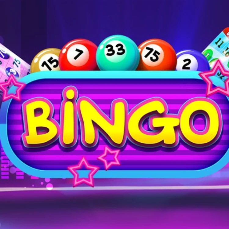 Bingo game guide on Lotus365 with rules strategy and live dealer options
