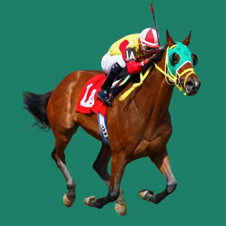 Horse Racing betting on Lotus365